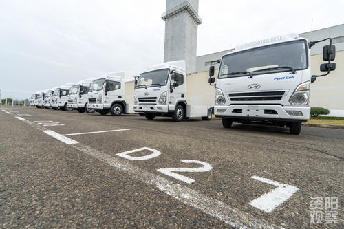 载货汽车电池多少伏的 载货汽车电池多少伏的