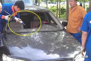 汽车刷胶粘合多少钱