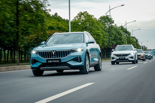 全国有汽车多少辆国五