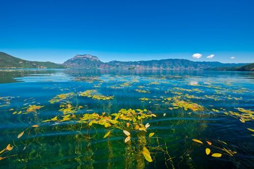 成都泸沽湖汽车多少钱