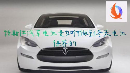 特斯拉汽车保养电话多少