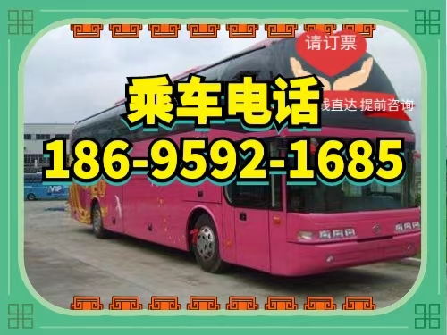 栾川到南阳汽车多少钱