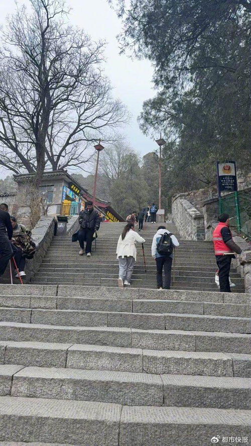 陪爬泰山小伙称挣钱透支了身体 陪爬泰山小伙称挣钱透支了身体