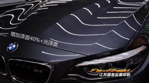 清远汽车贴车衣价格多少