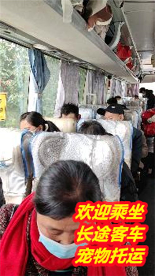 凯里去潮汕汽车票多少