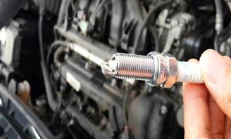 更换汽车球笼多少钱