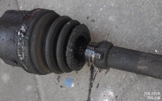 更换汽车球笼多少钱