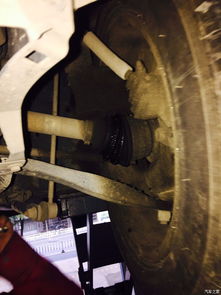 更换汽车球笼多少钱