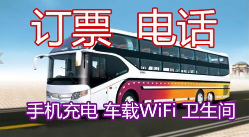 南阳到桐乡汽车多少钱