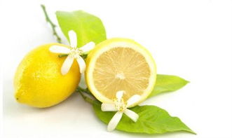 柠檬汽车价格是多少