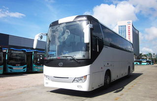 温岭到乐清汽车多少钱