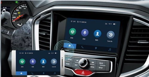 汽车监测费多少