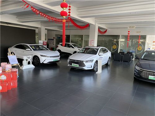 代理新能源汽车需要多少钱 代理新能源汽车需要多少钱