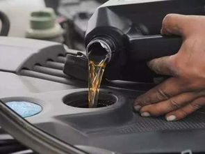 汽车开多少年换