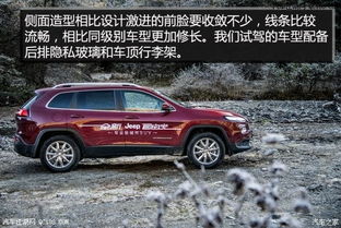 国产汽车油箱多少升的