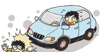 汽车全险撞人赔多少比例