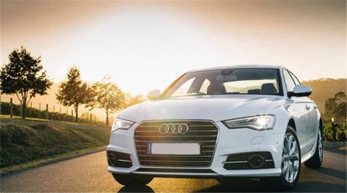 白色汽车指数是多少 白色汽车指数是多少