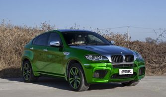 仿制汽车需要多少钱