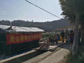 惠东到博罗汽车多少钱 惠东到博罗汽车多少钱