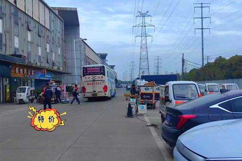 新浦到灌南汽车坐多少路