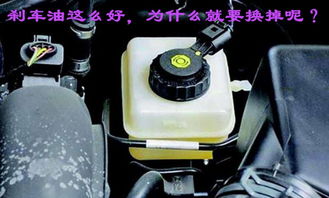 汽车刹车油多少钱