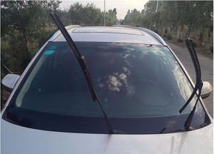 汽车没开保养多少钱