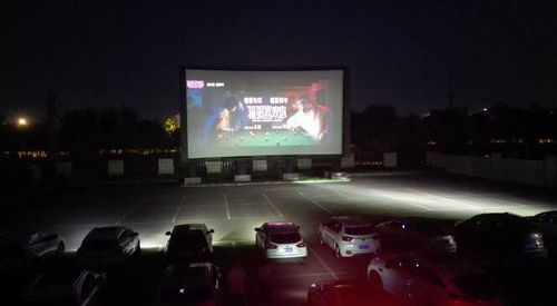 汽车影院多少钱一张