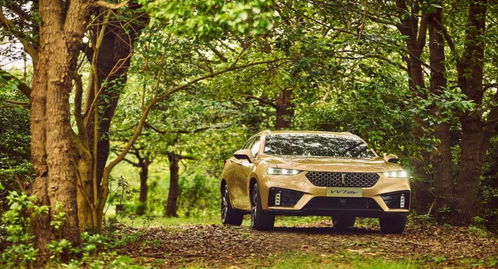 汽车挖煤一般价格多少 汽车挖煤一般价格多少