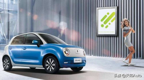 外国人有多少汽车芯片