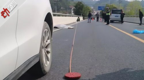 汽车时速多少能撞伤人