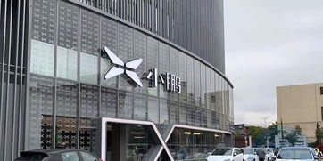 小鹏汽车股东多少亿