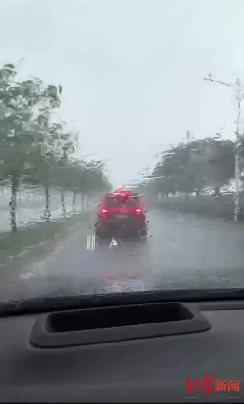 勉县共有多少辆汽车车