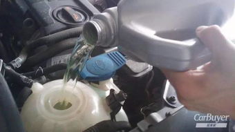 汽车防冻液多少钱一瓶