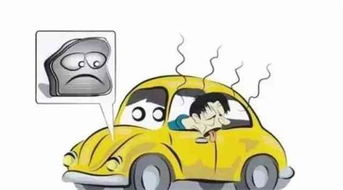 汽车中导线多少钱