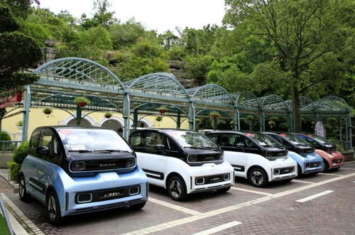 小朋电动汽车多少钱