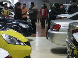 乌鲁木齐小汽车有多少家