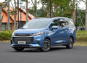 上海汽车落地多少万