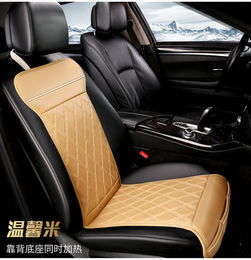 汽车加热坐垫多少钱