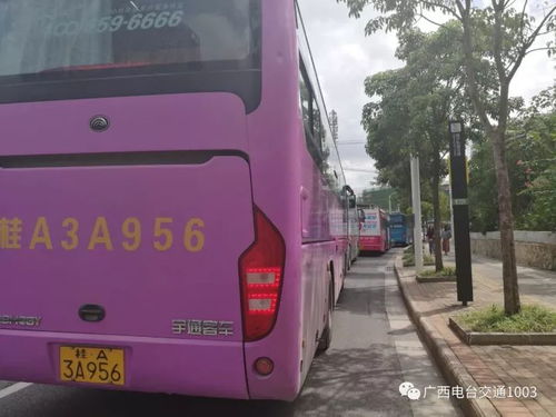 南宁到柳州汽车多少钱