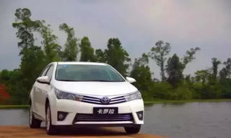 唢呐汽车多少钱