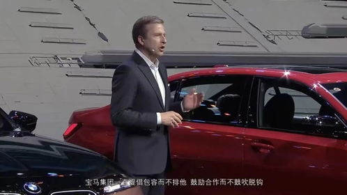 汽车油丝多少钱