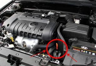 冬天更换汽车油液多少升 冬天更换汽车油液多少升