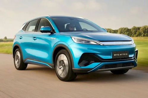 中泰电动汽车价格多少