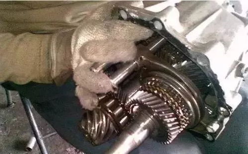 汽车变速箱保养多少钱