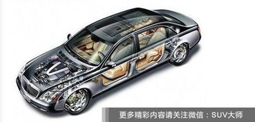 汽车排量有多少种