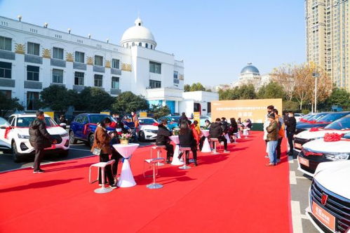 安徽汽车下乡补偿多少