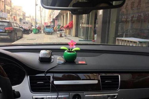 汽车安装电子狗多少钱