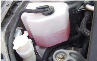 修汽车水箱多少钱