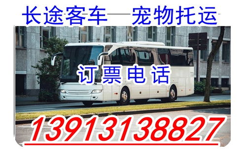 泉州到咸丰汽车票多少钱 泉州到咸丰汽车票多少钱