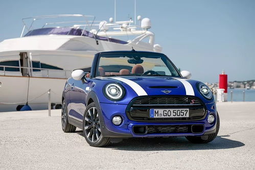 迷你汽车多少人